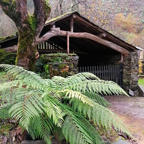 Cobertizo para el ocio y juego de los niños La Pousada de Boimouro casa de alquiler